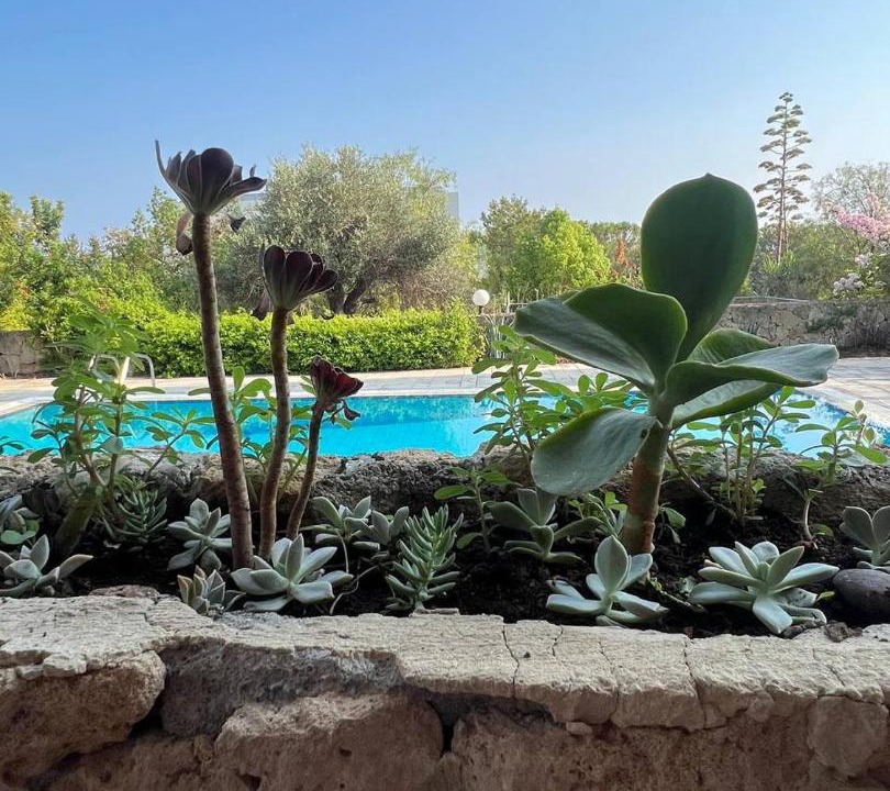 Photo of Others in Kyrenia