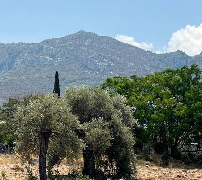 Photo of Others in Kyrenia