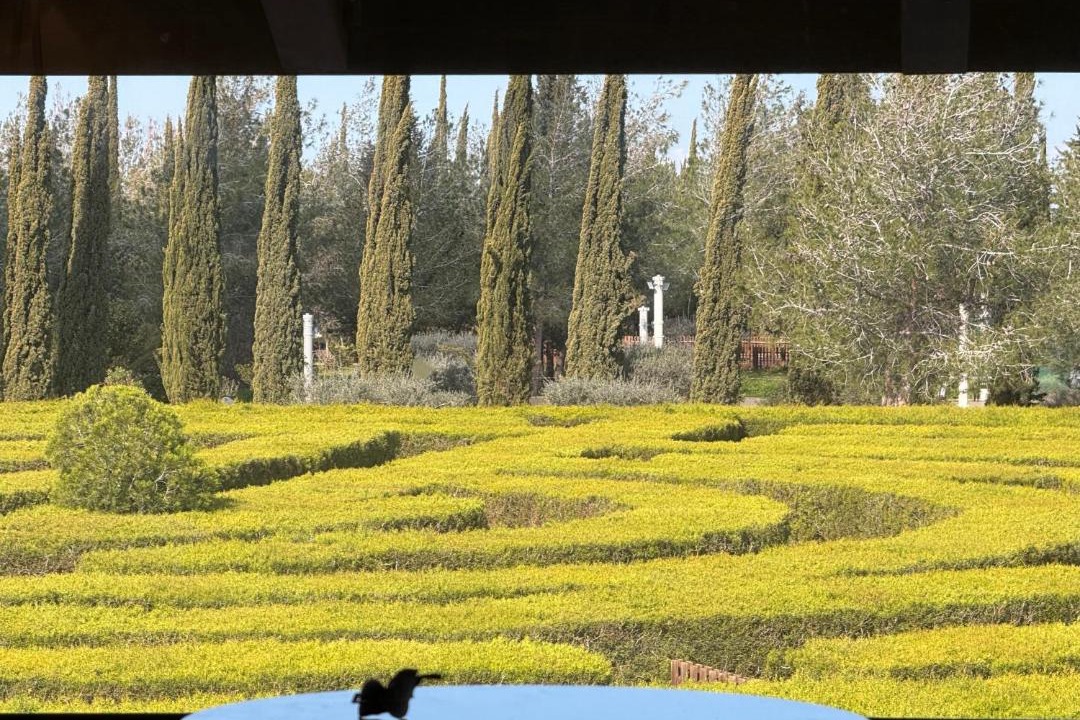 Photo of Others in Avgorou