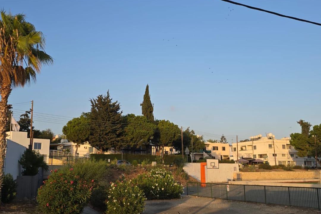 Photo of Others in Kissonerga