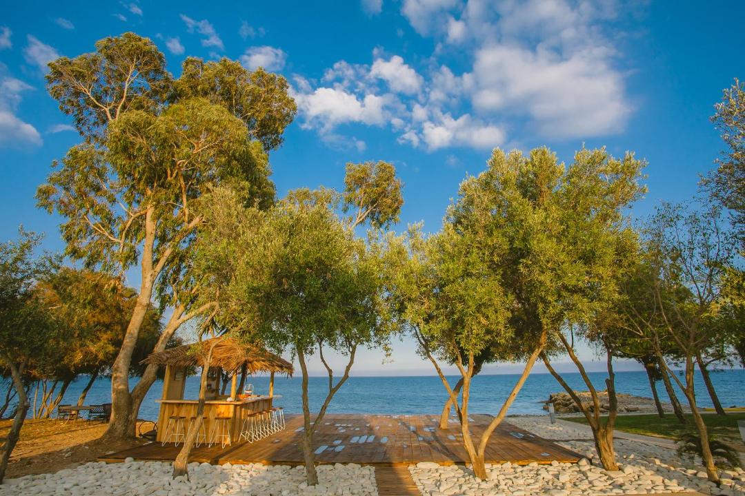 Photo of Others in Agios Theodoros