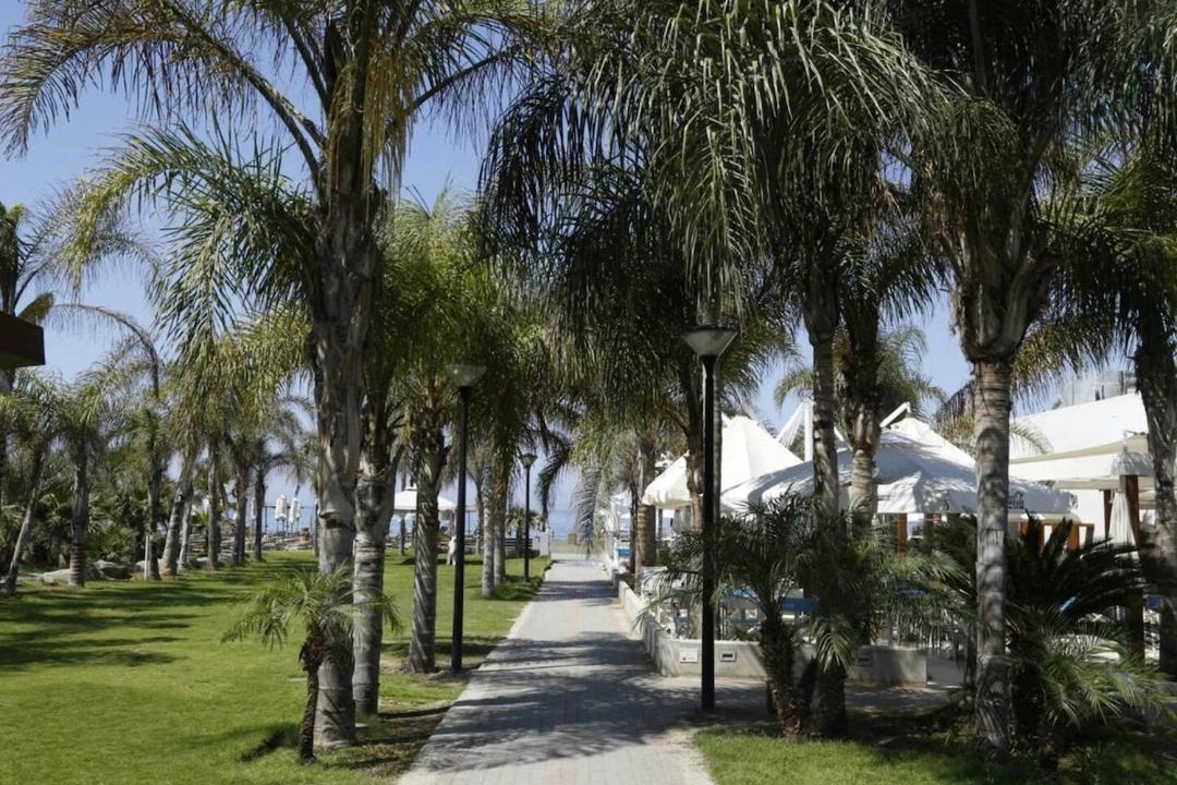 Photo of Others in Limassol
