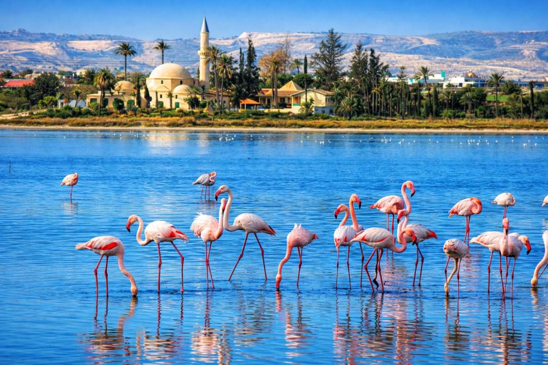 Photo of Others in Skala