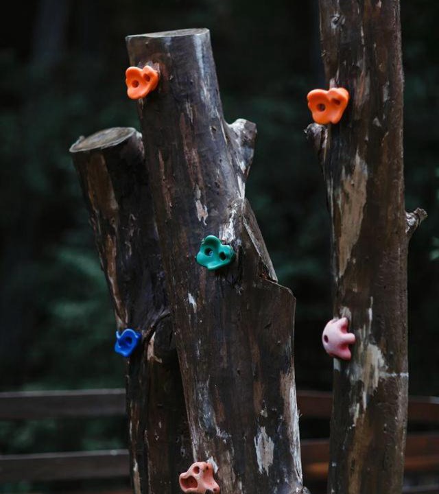 Photo of Others in Arakapas