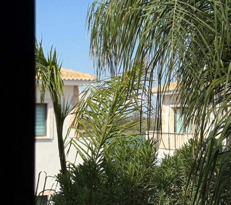 Photo of Others in Avgorou