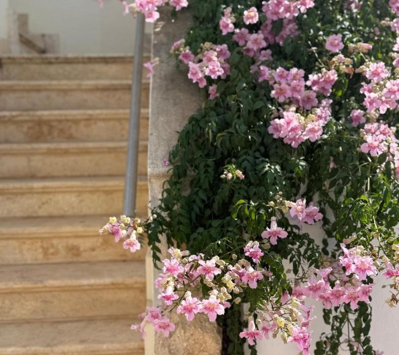 Photo of Others in Avgorou