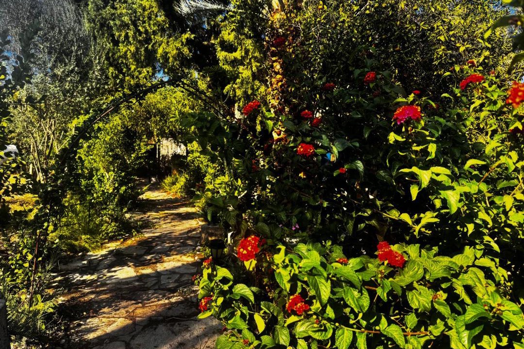 Photo of Outdoor in Kyrenia District