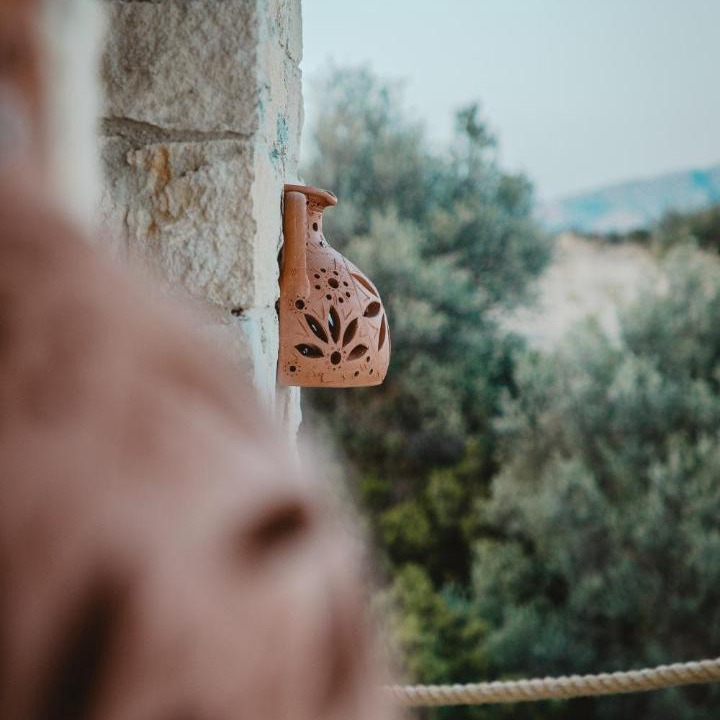 Photo of Others in Pareklisia