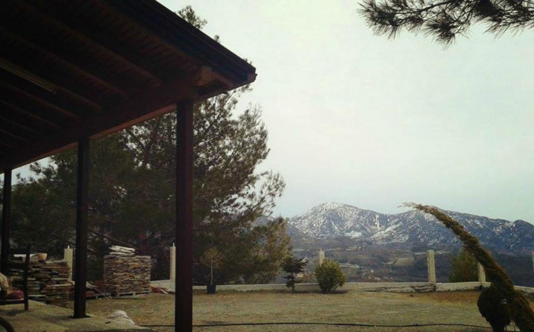 Photo of Others in Agros