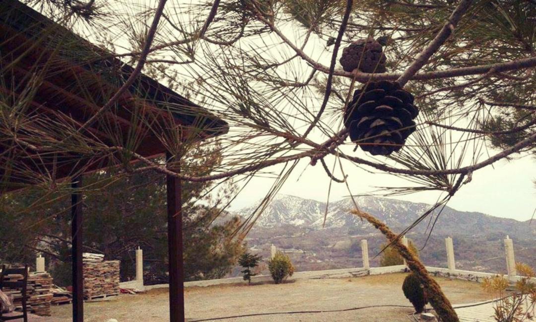 Photo of Others in Agros