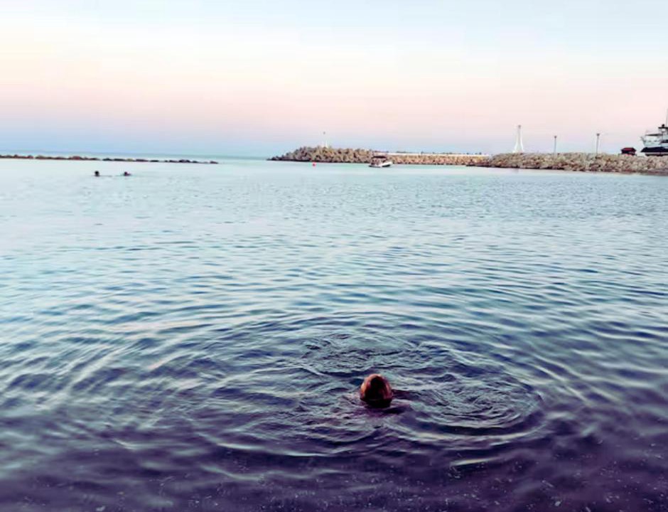 Photo of Others in Kalavasos