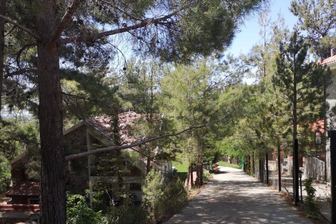 Photo of Others in Platres