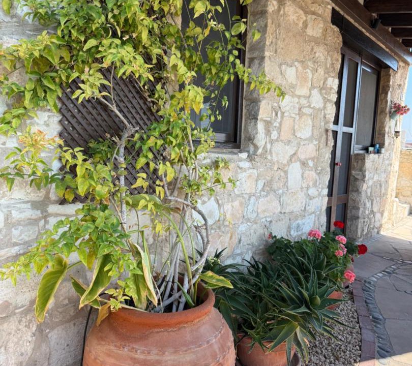 Photo of Others in Pissouri