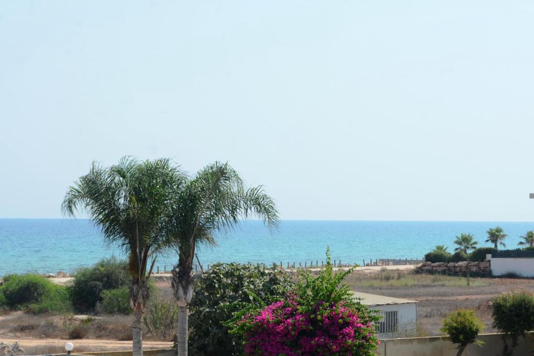Photo of Others in Ayia Thekla