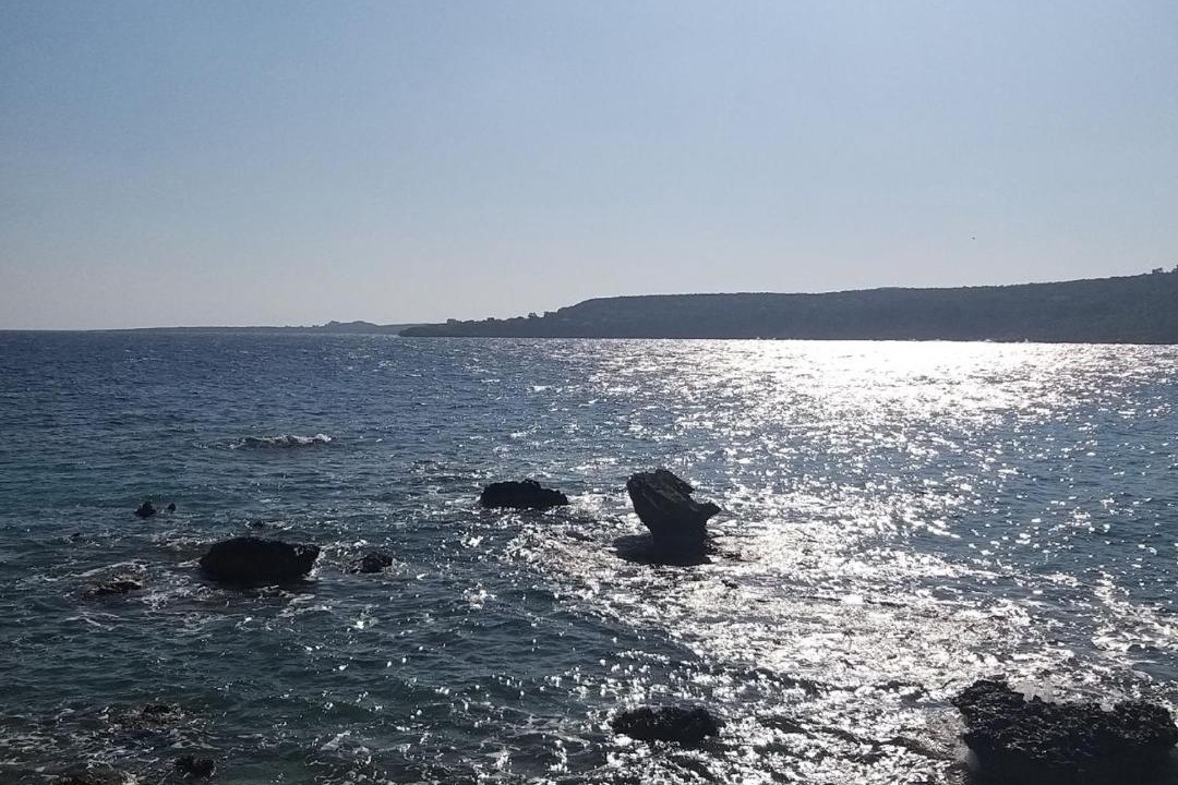 Photo of Others in Cape Greko