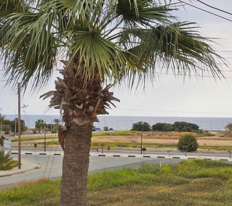 Photo of Others in Pyla