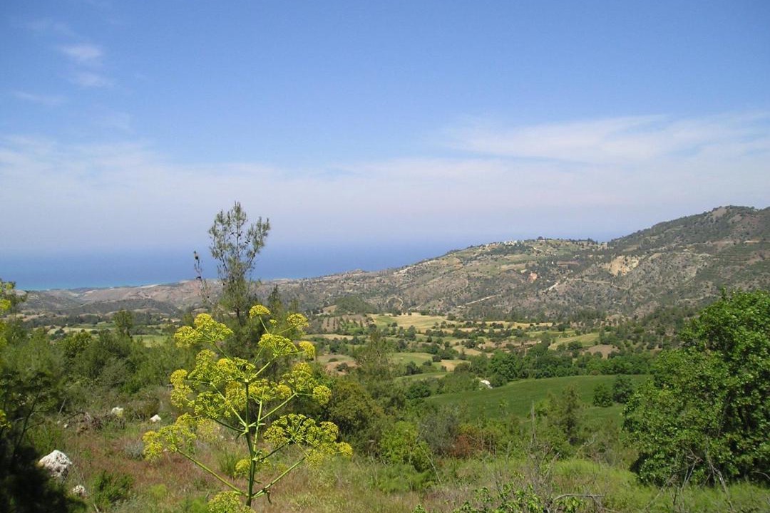 Photo of Others in Lysos