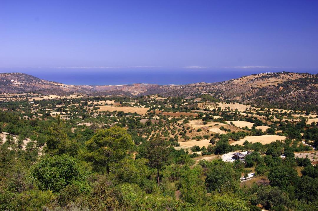Photo of Others in Lysos