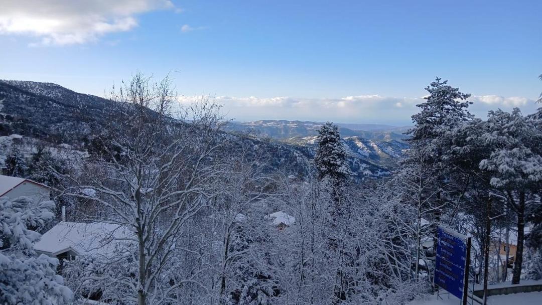 Photo of Others in Prodromos