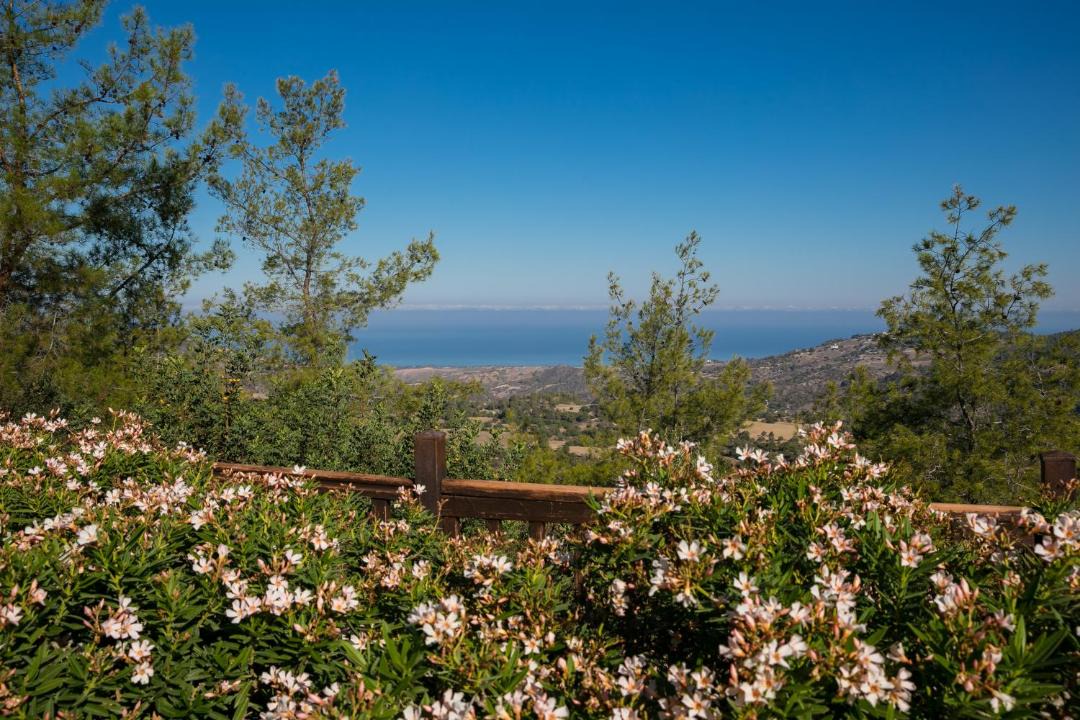 Photo of Others in Lysos