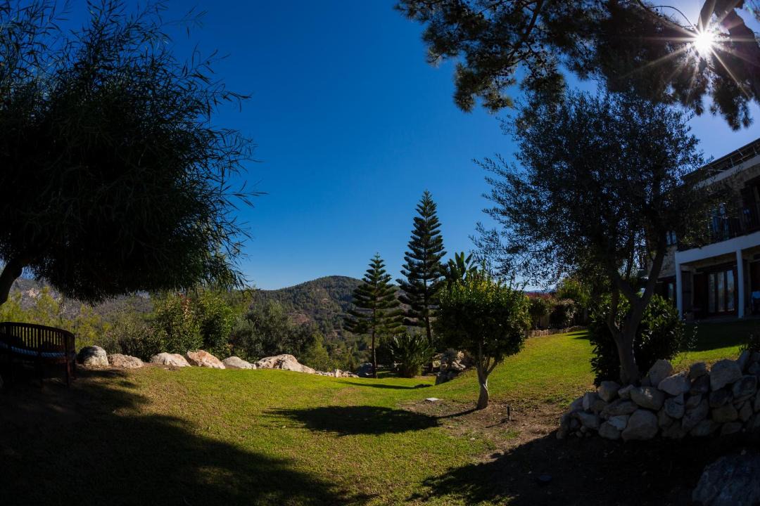 Photo of Others in Lysos
