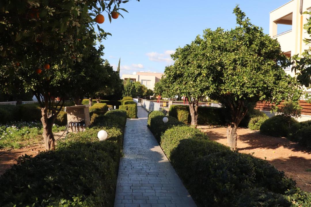 Photo of Others in Mandria