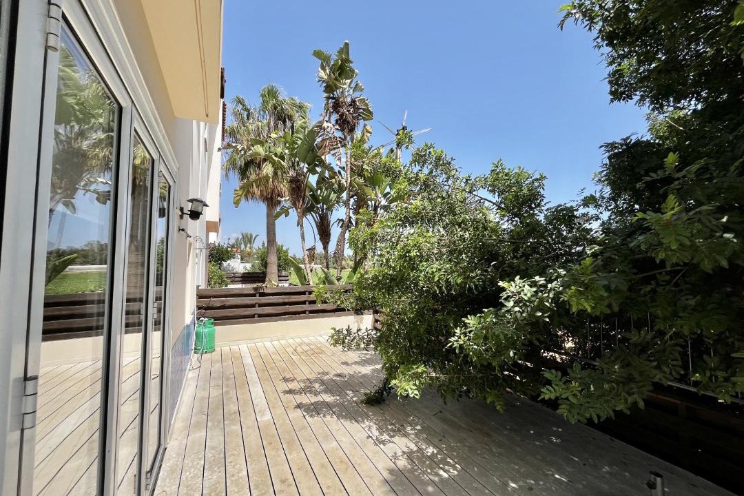 Photo of Others in Paralimni