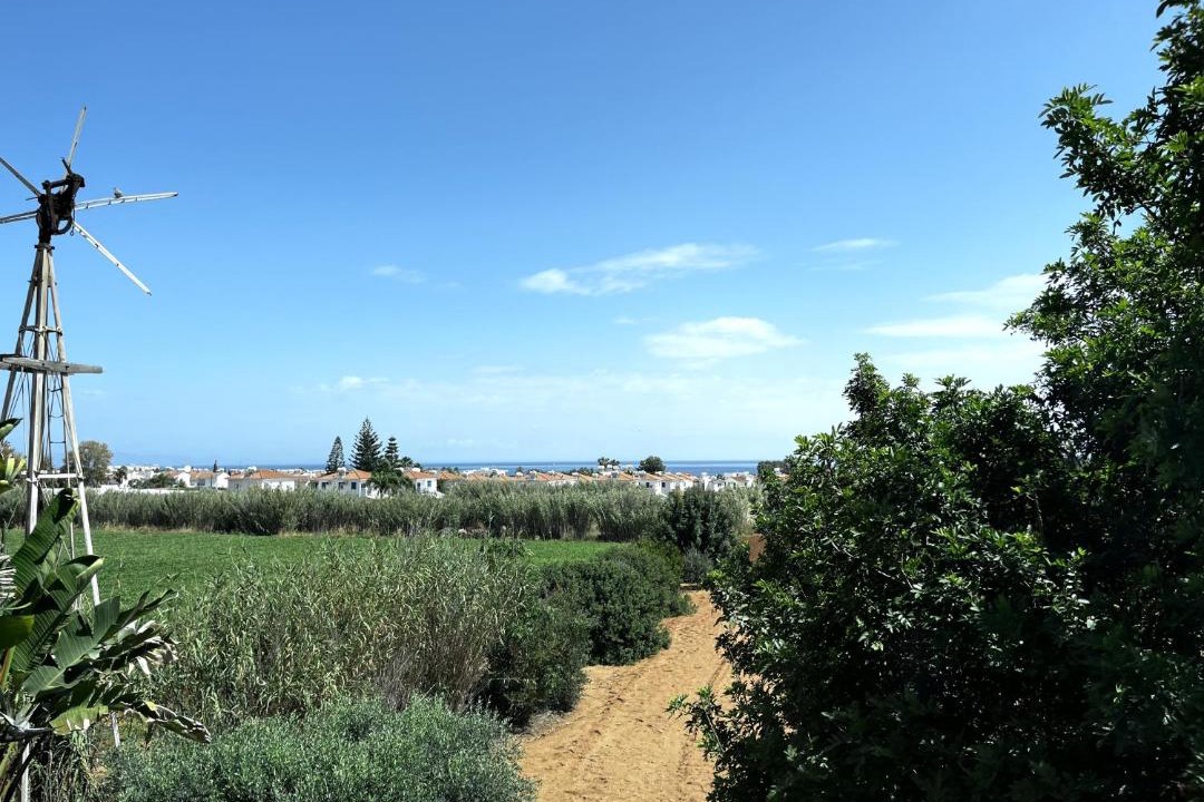 Photo of Others in Paralimni
