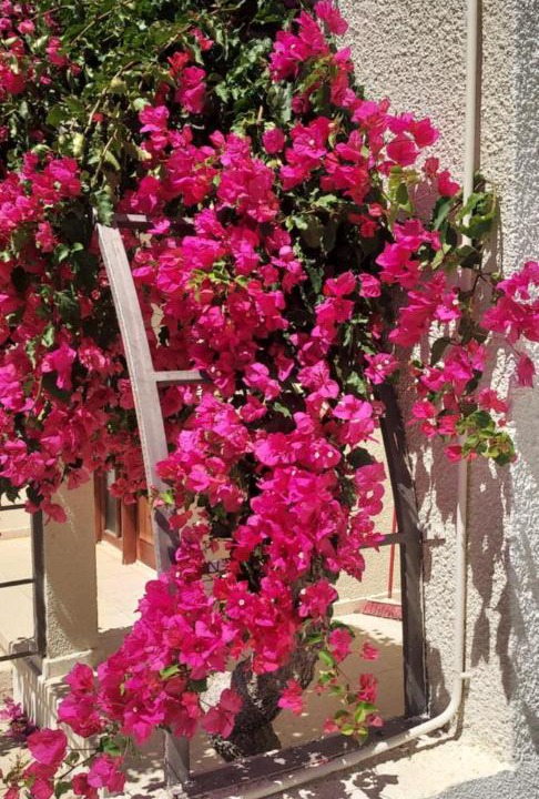 Photo of Others in Pyla