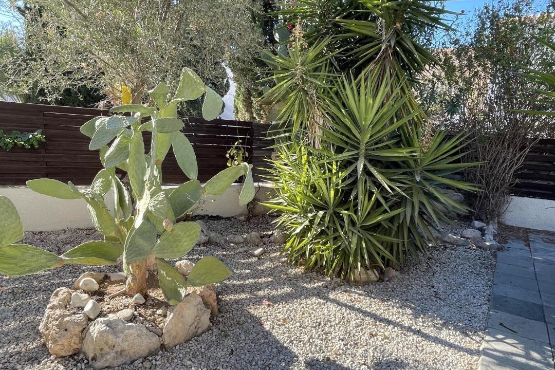 Photo of Others in Chlorakas