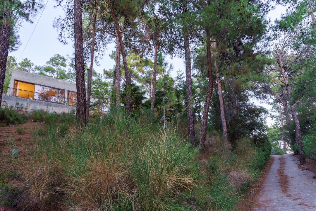 Photo of Others in Platres