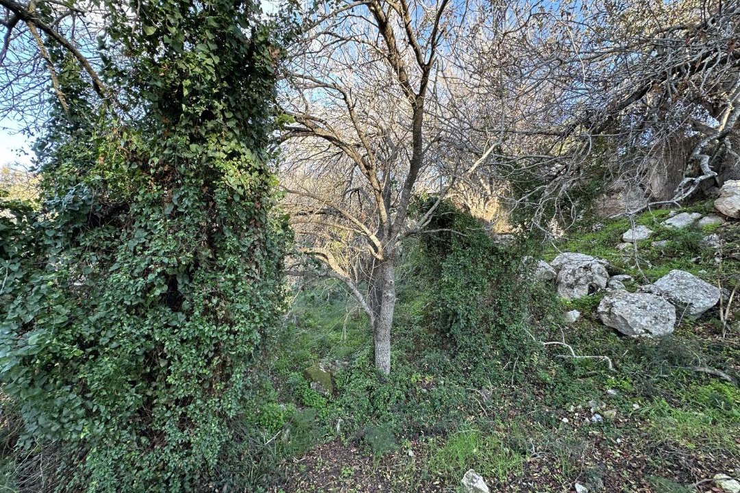 Photo of Others in Konia