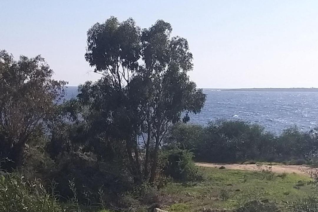 Photo of Others in Cape Greko