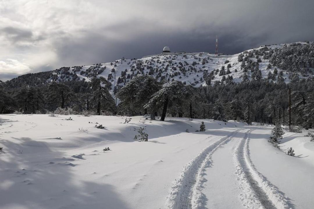 Photo of Others in Troodos