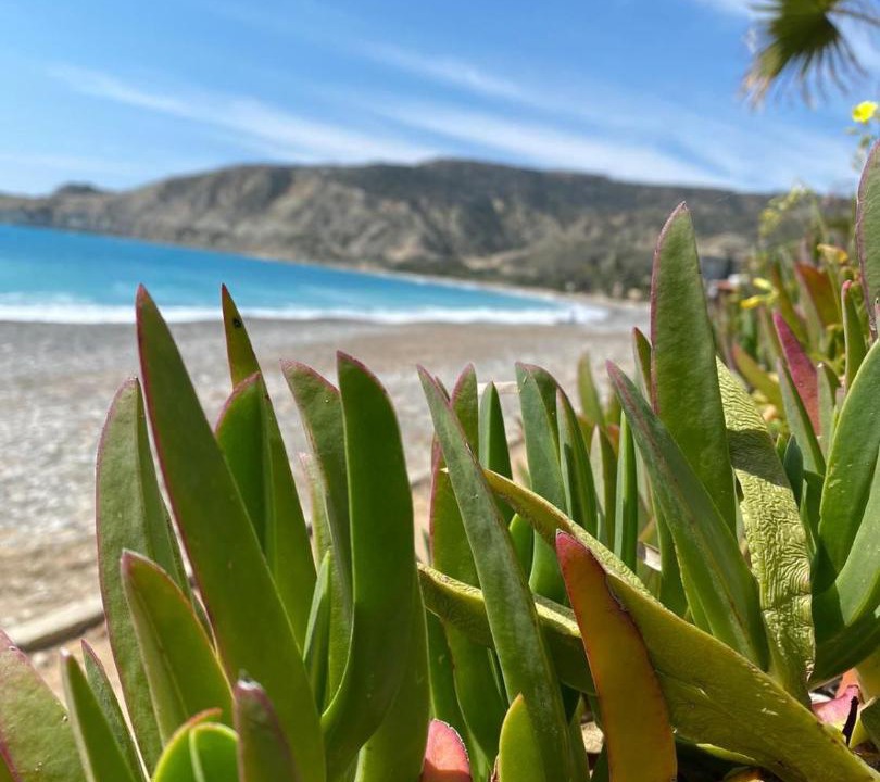 Photo of Others in Episkopi