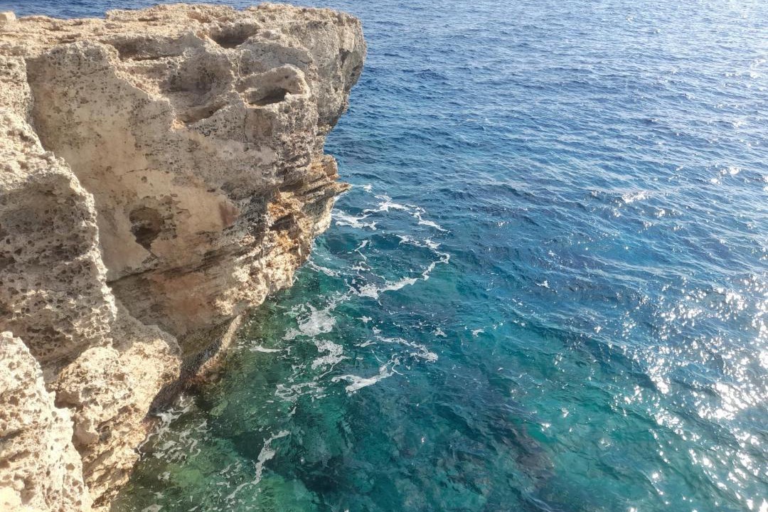 Photo of Others in Cape Greko
