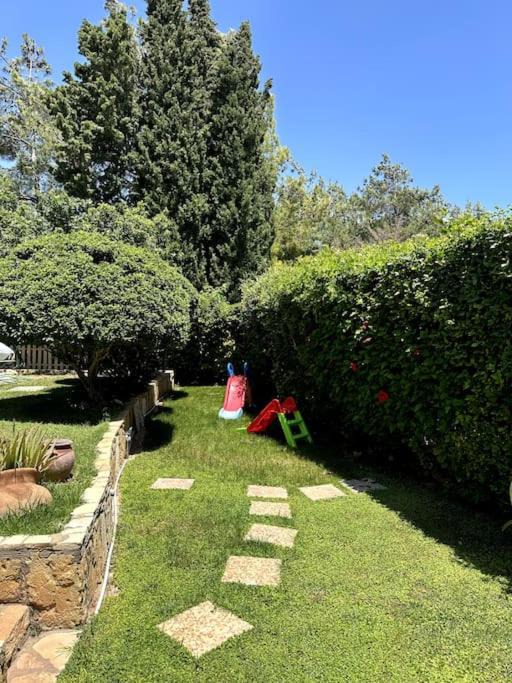 Photo of Others in Pissouri