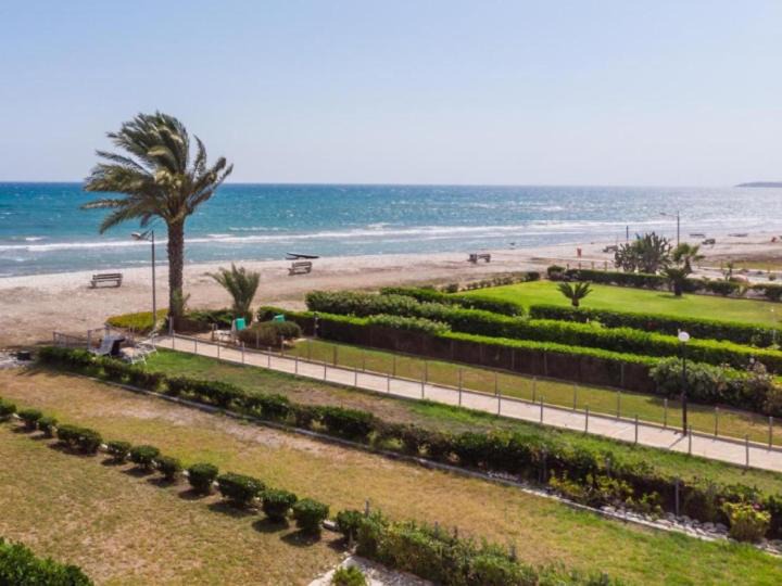 Photo of Others in Larnaca