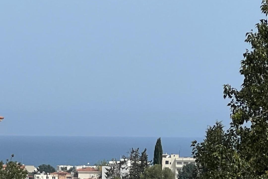 Photo of Others in Polis