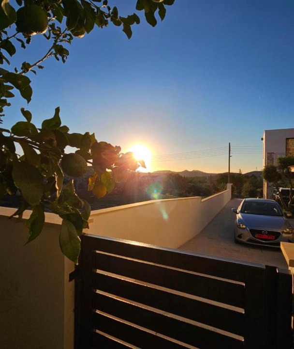 Photo of Others in Skarinou