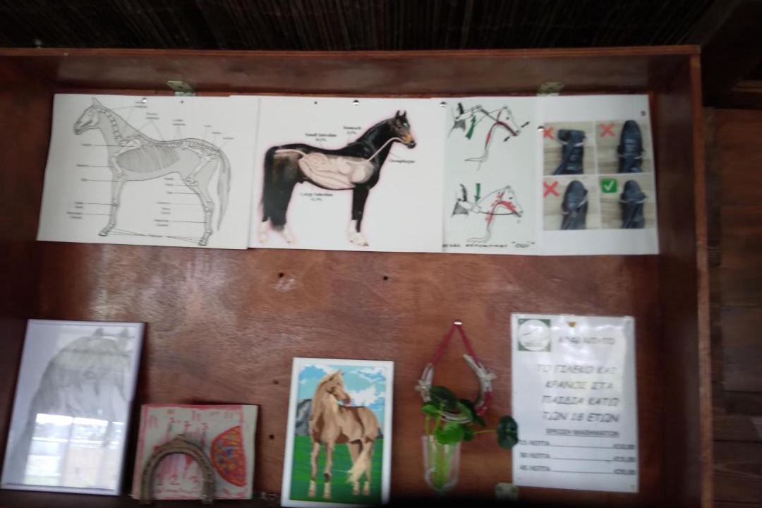 Photo of Others in Kivisili