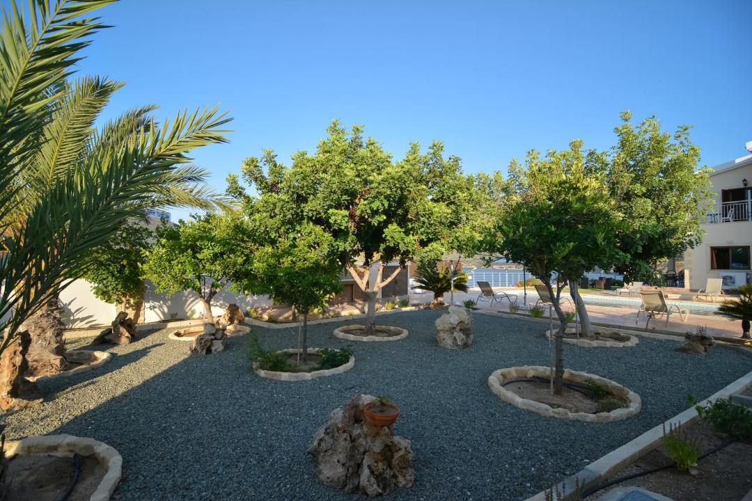 Photo of Others in Pomos