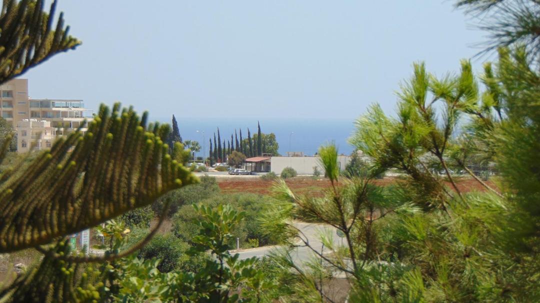 Photo of Others in Cape Greko