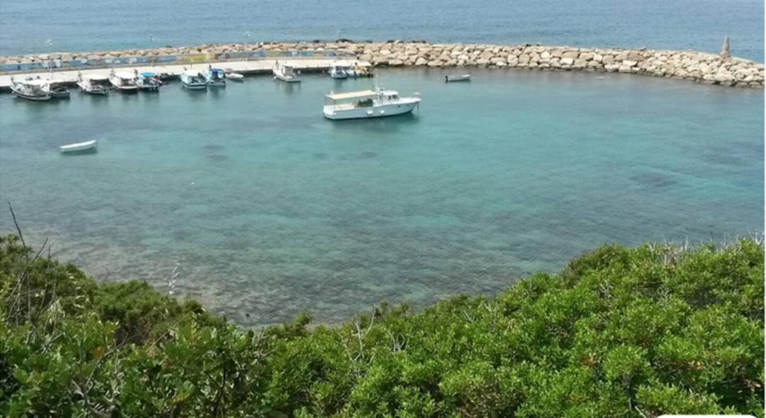 Photo of Others in Pegeia