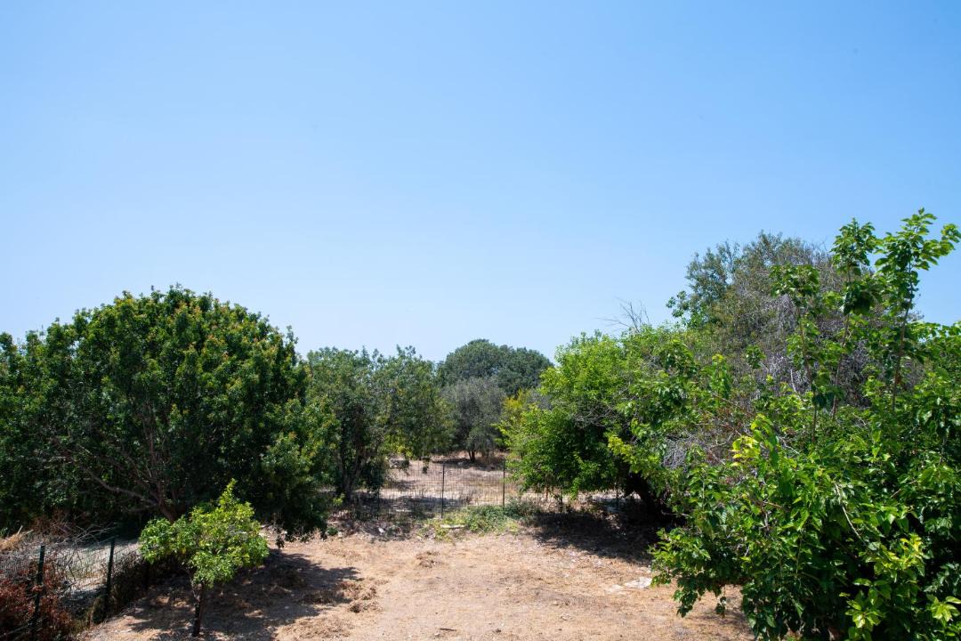 Photo of Others in Paphos