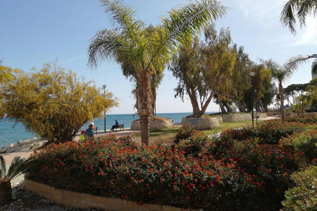 Photo of Others in Potamos tis Germasogeias