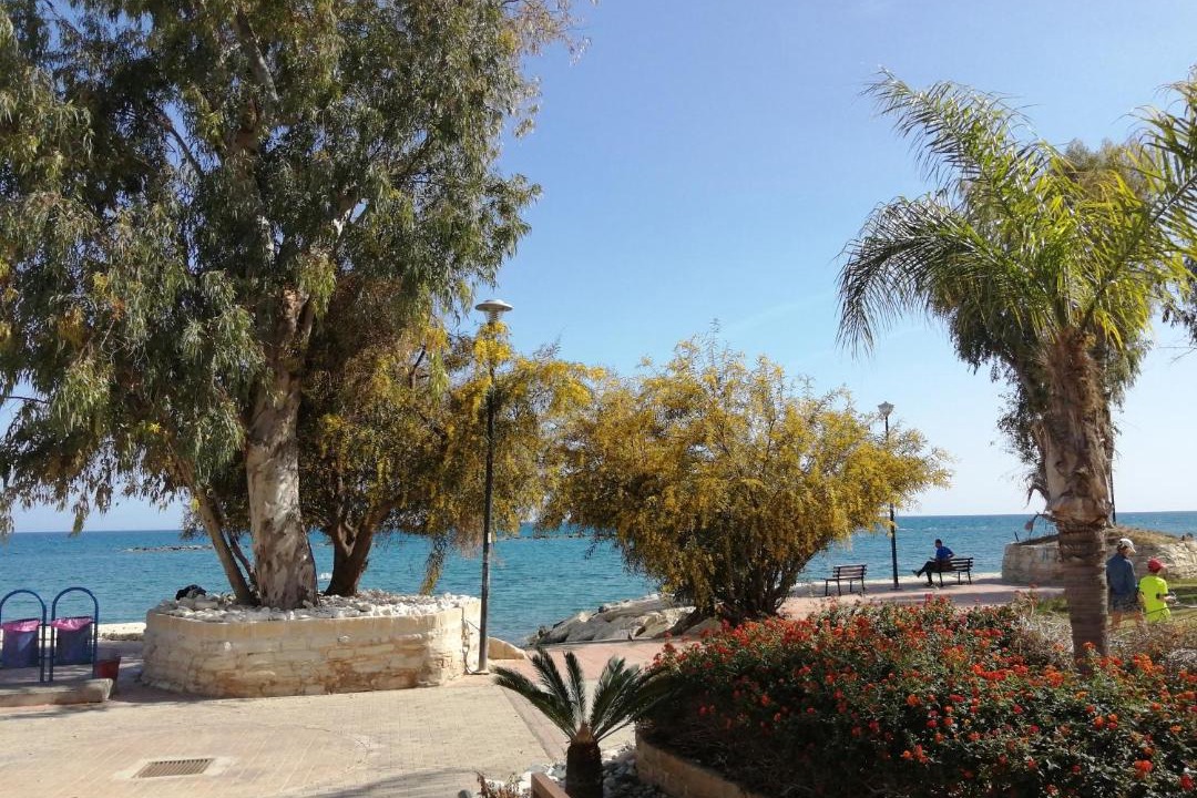 Photo of Others in Potamos tis Germasogeias