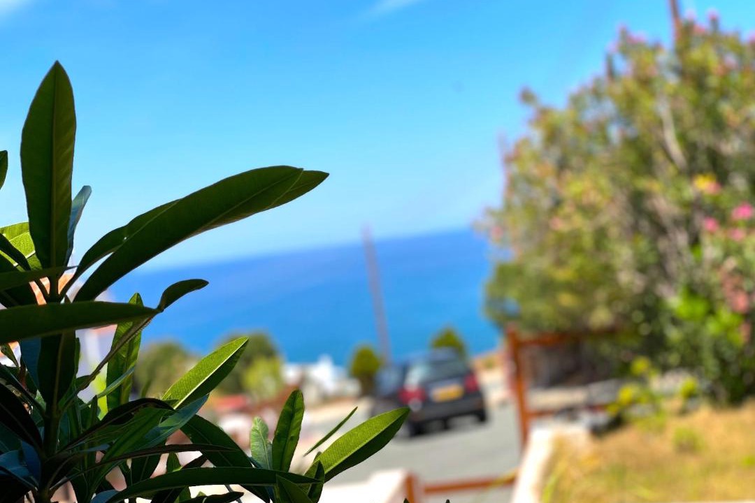 Photo of Others in Pomos