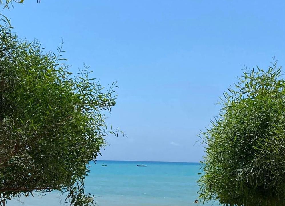 Photo of Others in Pissouri