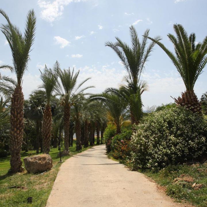 Photo of Others in Pegeia